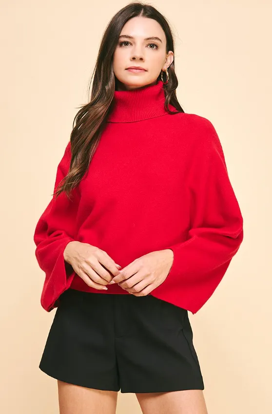 Allison Turtle Neck Raglan Sweater