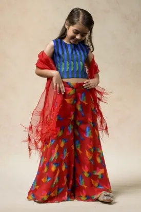 Flared sharara with top, dupatta