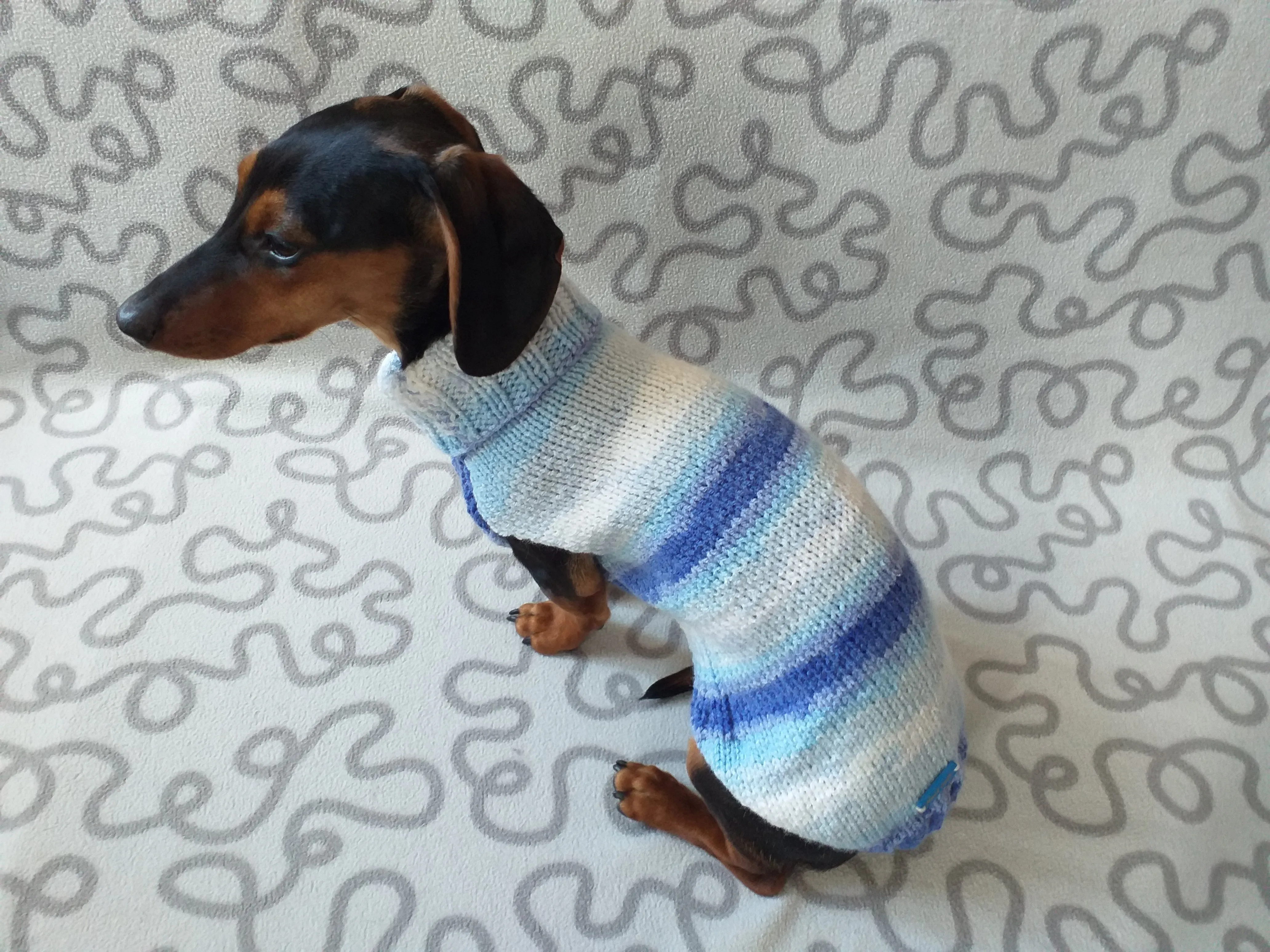 Melange sweater for mini dachshund,Dachshund Sweater, Dog Clothes, Dog sweater, Dachshund clothes, Wiener dog clothes, Winter dog sweater