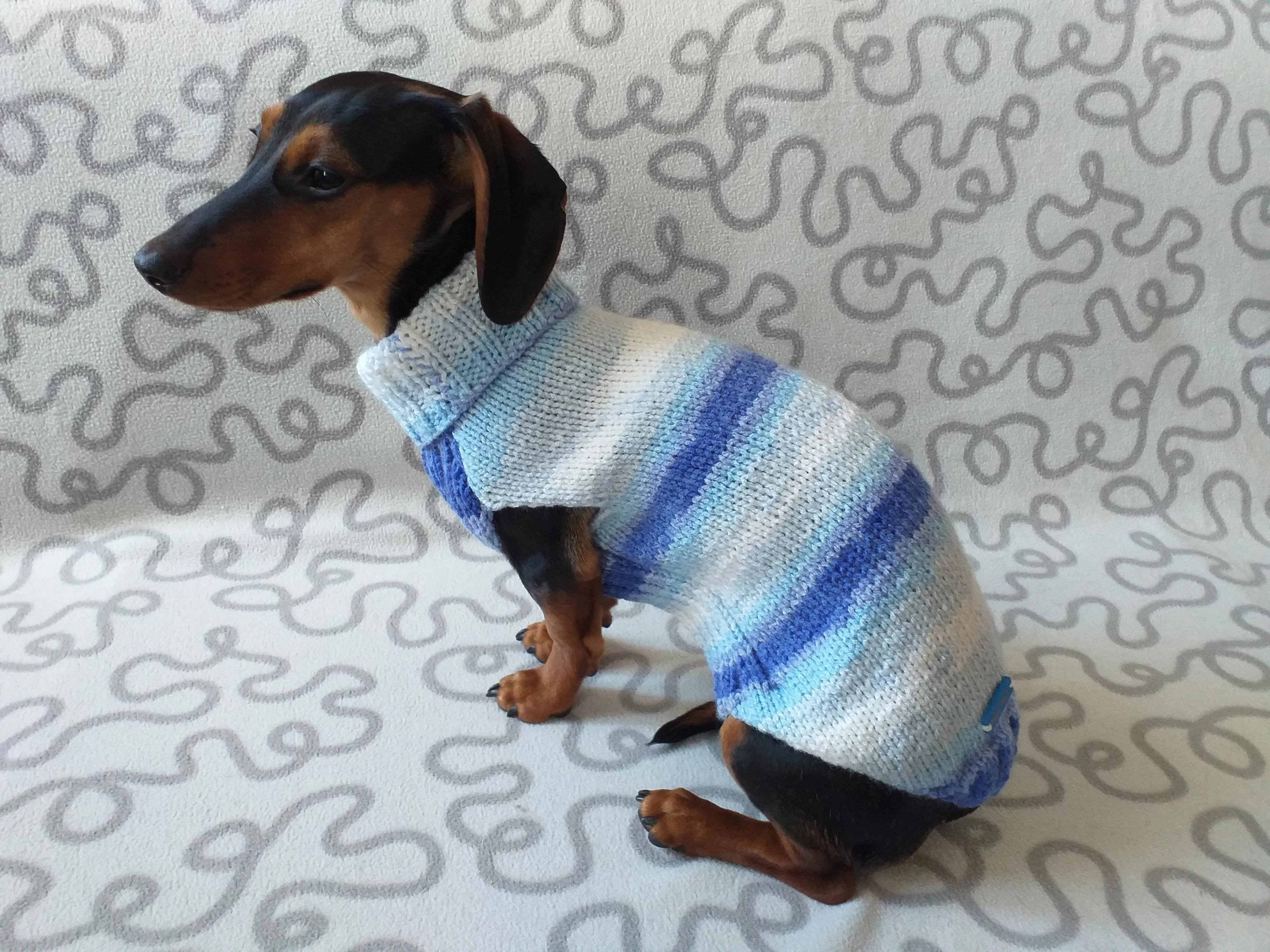 Melange sweater for mini dachshund,Dachshund Sweater, Dog Clothes, Dog sweater, Dachshund clothes, Wiener dog clothes, Winter dog sweater