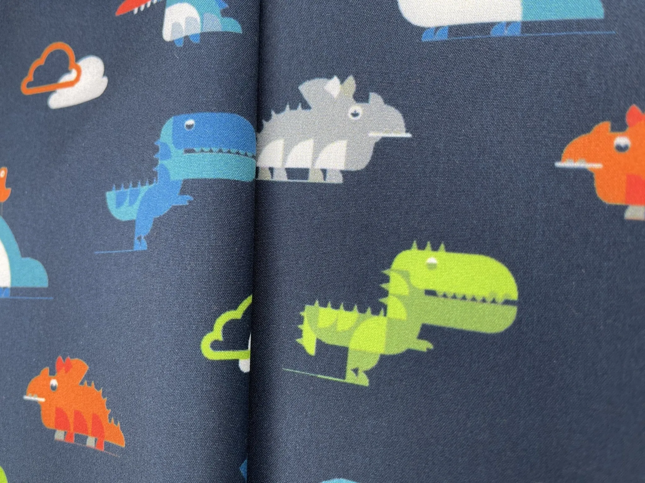 Softshell with Dinosaurs Print Fabric