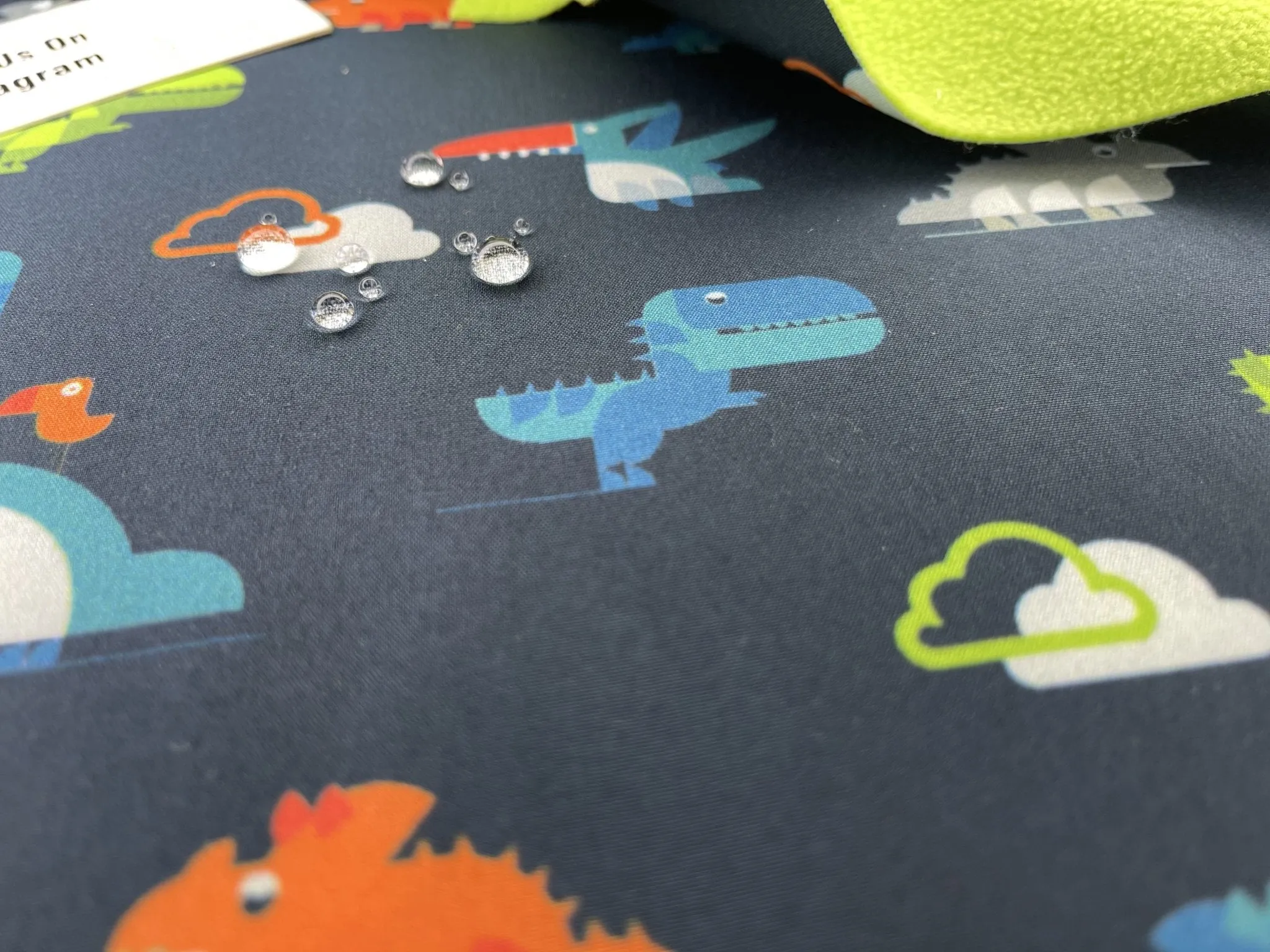 Softshell with Dinosaurs Print Fabric